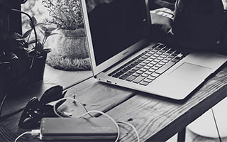 行李打开，惊现活体龟199只、活体蛇7条